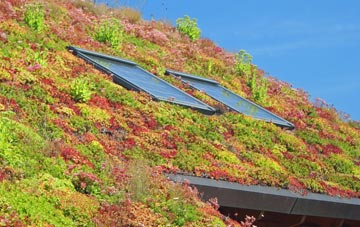 Bellahill living roof systems