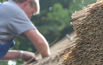 professional Bellahill thatchers