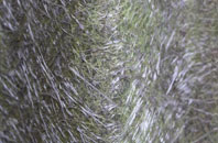 Bellahill fibreglass roof work